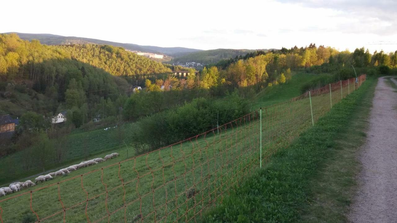 Weiss Appartamento Aue (Saxony)